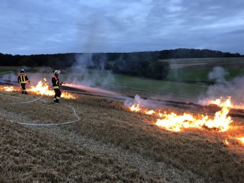 Übung Gr. 2 & 3 18.08.2021