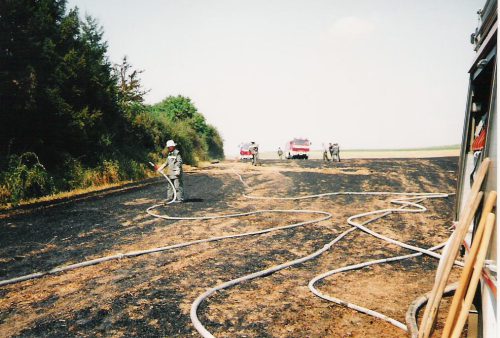 1994flaechenbrand