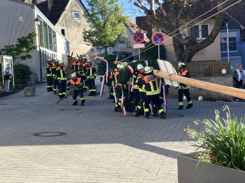 Maibaum2026-2