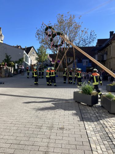 Maibaum2026-4