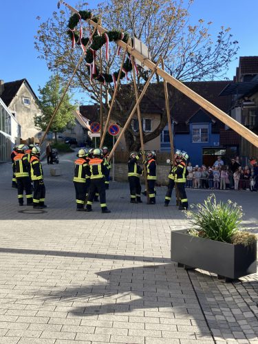 Maibaum2026-5
