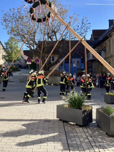 Maibaum2026-6