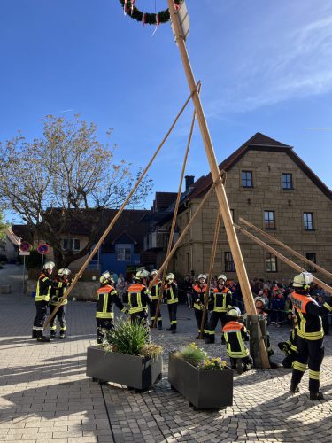 Maibaum2026-8