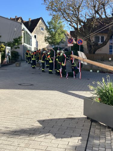 Maibaum2026-9
