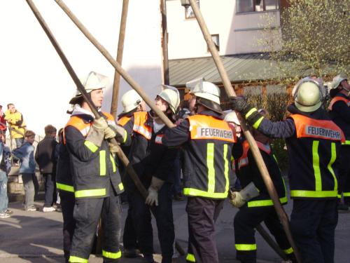 Maibaum 2006