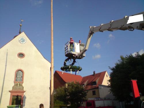 maibaum2008eingelegt123.07.08-005